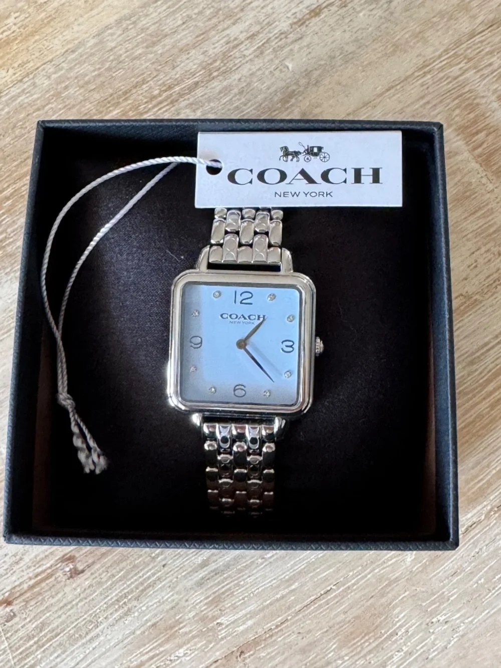 Coach Cass Watch Womens Light Blue & Silver SS 28mm CAZ19